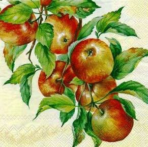 Яблоневая ветвь - яблоки, урожай, яблоко, ягоды, плоды, пейзаж, ягодки - оригинал