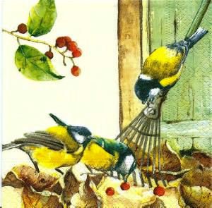Синички - птичка, природа, птицы, ягодки, синичка, синички, пушистые птички - оригинал