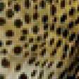 Предпросмотр схемы вышивки «дикая кошка» (№12578)