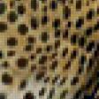 Предпросмотр схемы вышивки «дикая кошка» (№12579)