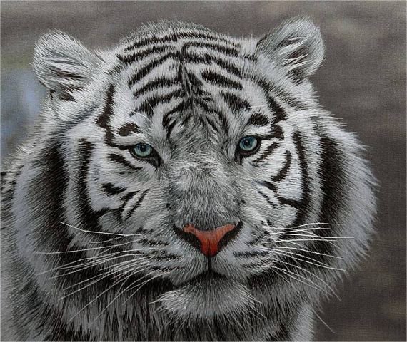 белый тигр - звери зима - оригинал
