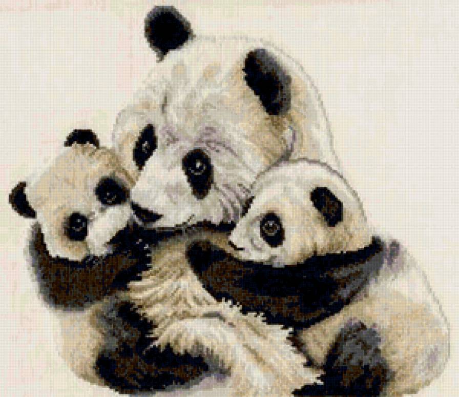 Пандочки - медведи, панды, животные - предпросмотр