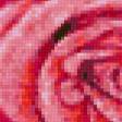 Предпросмотр схемы вышивки «Роза» (№12792)