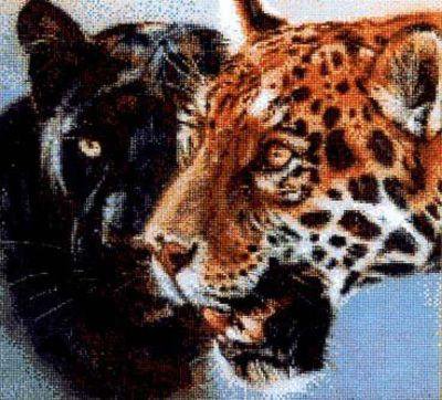 Серия "Большие кошки" - животные, кошки, леопарды - оригинал