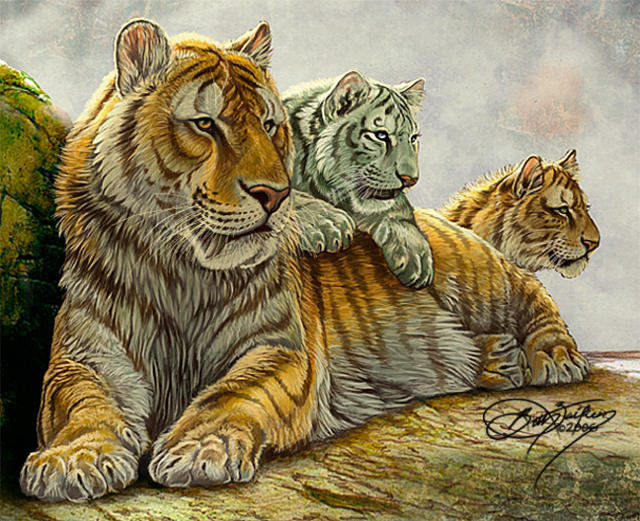 Серия "Большие кошки" - кошки, животные, тигры - оригинал