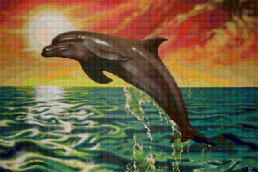 Дельфинчик) - животные, дельфин - предпросмотр