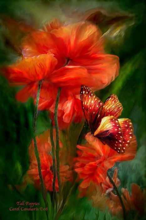 цветок - красота, бабочка, картина, цветы - оригинал