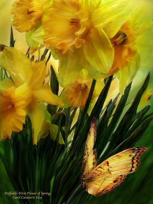 цветок и бабочка - бабочка, картина, цветы, красота - оригинал
