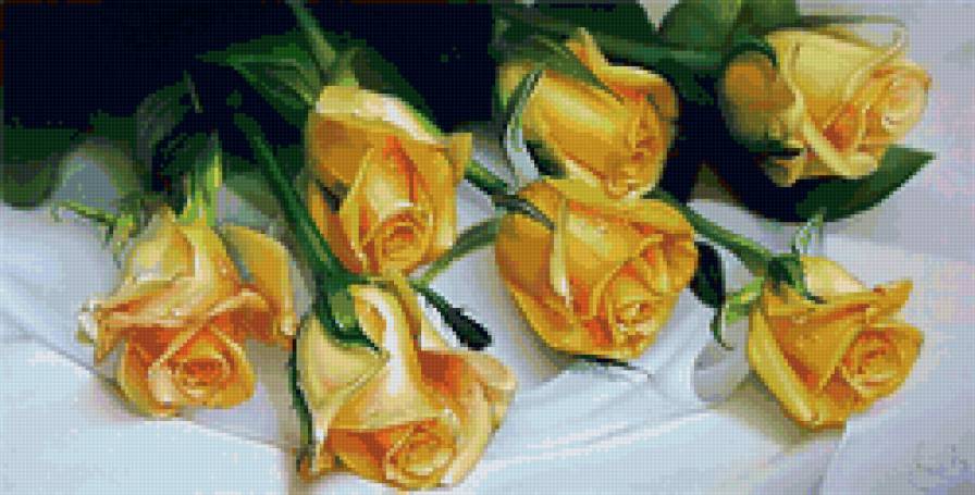желтые розы - цветы, розы - предпросмотр