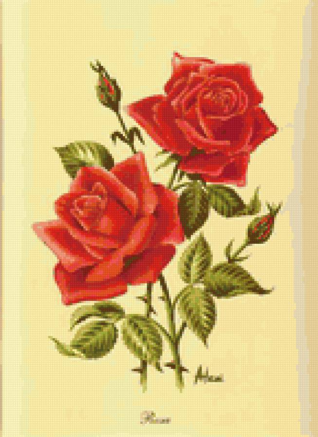 №13265 - розы, цветы - предпросмотр