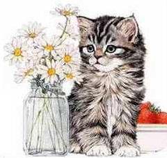 котенок и ромашки - цветы, животные - оригинал