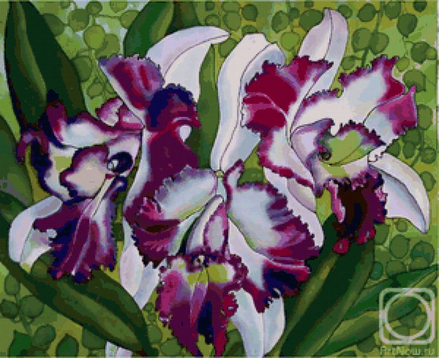 Серия "Букет" - цветы, букет, орхидеи - предпросмотр