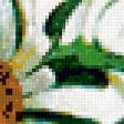 Предпросмотр схемы вышивки «Ромашки и бабочки» (№13414)