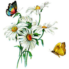 Оригинал схемы вышивки «Ромашки и бабочки» (№13414)