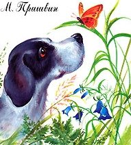 собачка и бабочка - собачки, охота, бабочка, природа, собака, собаки - оригинал