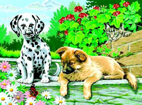Два друга - щенки, долматин, собаки, два друга, животные, природа, цветы - оригинал