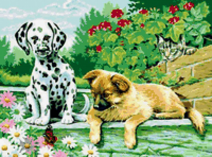 Два друга - цветы, природа, животные, собаки, щенки, два друга, долматин - предпросмотр