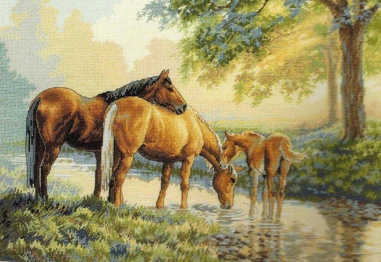 №14300 - лошади, пейзаж, животные - оригинал