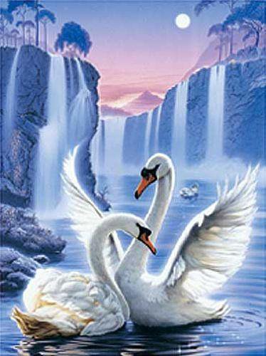 Лебеди - живопись, птицы, пейзаж, лебеди - оригинал