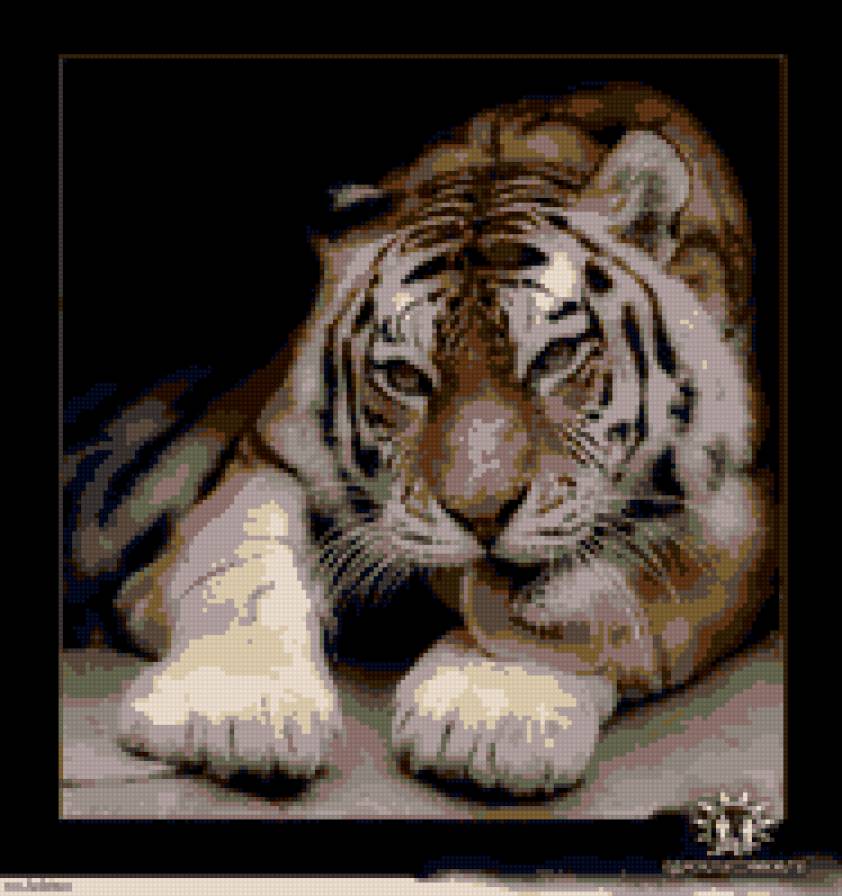 Тигр - тигр, животные - предпросмотр