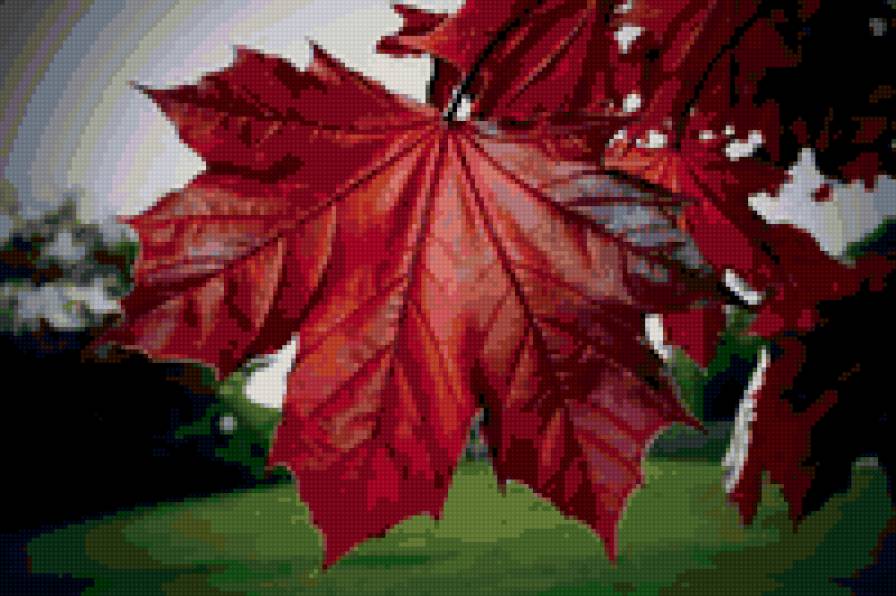 Красный лист - осень - предпросмотр