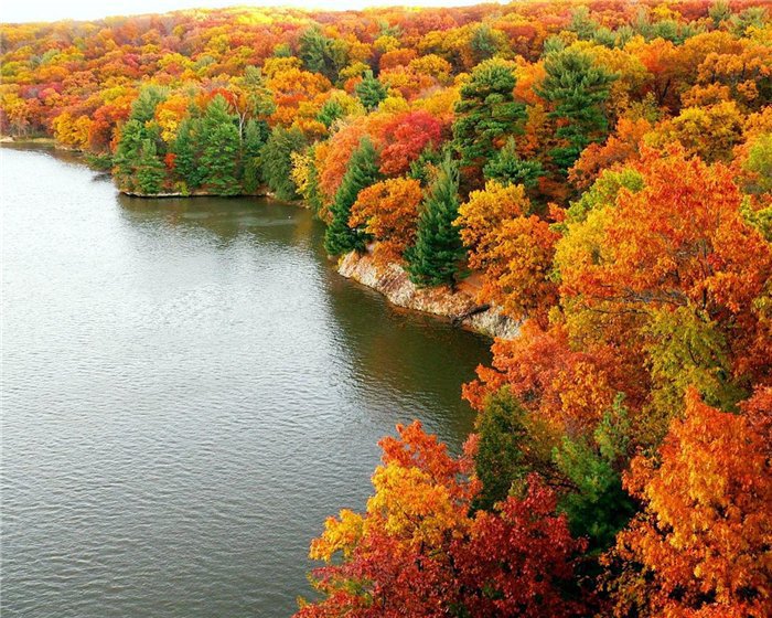 буйство красок - осень, река, природа, лес - оригинал