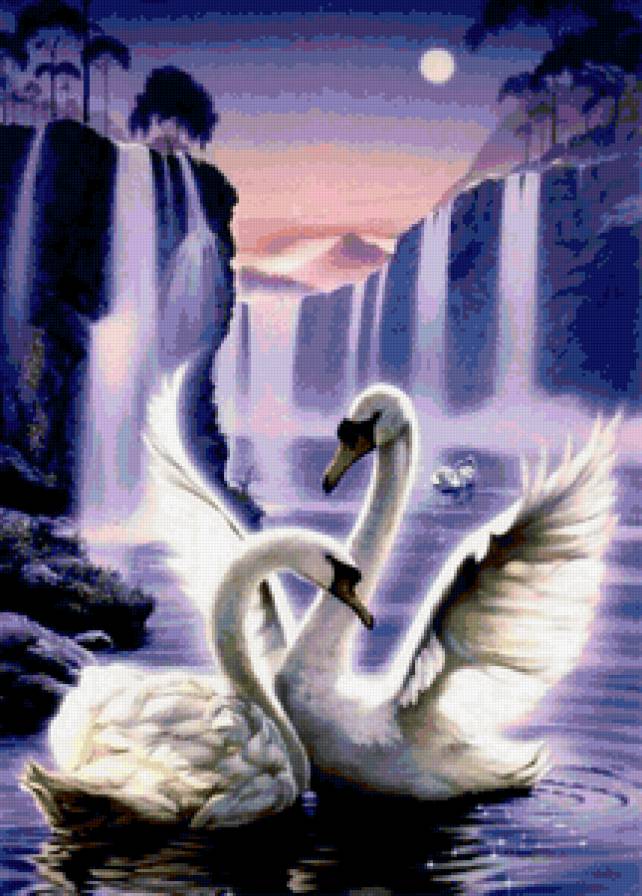 Белые лебеди - птицы - предпросмотр