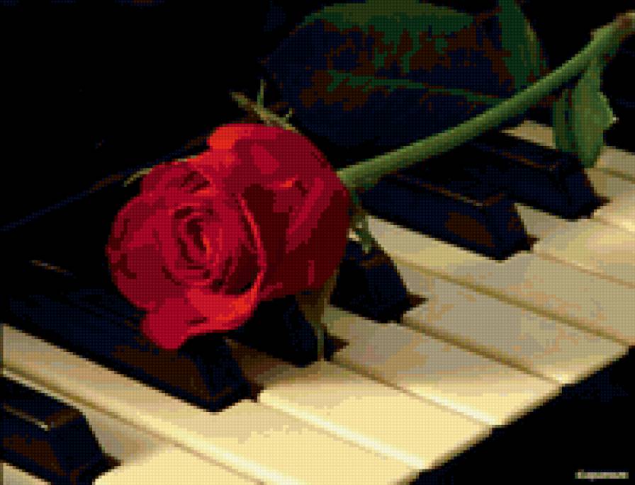 роза и фортепьяно - предпросмотр
