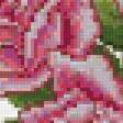 Предпросмотр схемы вышивки «подушка розы» (№15267)