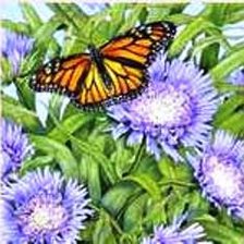 Оригинал схемы вышивки «Цветы и бабочки» (№15386)