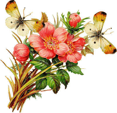 Цветочки с бабочками)) - flowers, цветы, бабочки - оригинал