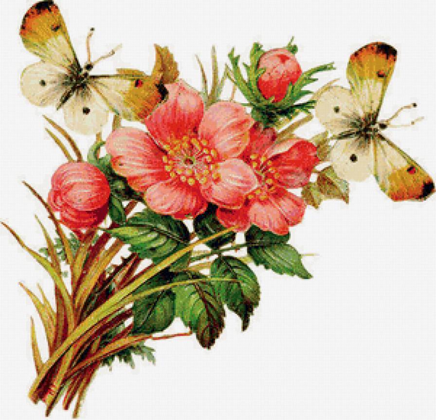 Цветочки с бабочками)) - бабочки, flowers, цветы - предпросмотр