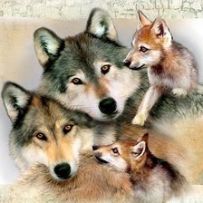 Схема вышивки «Волки семья 2»