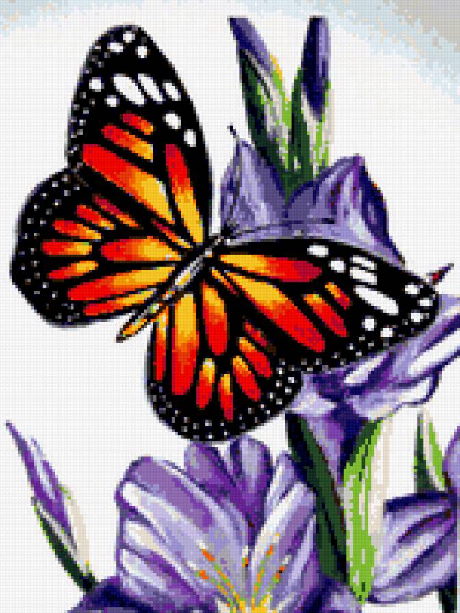 Бабочка и гладиолусы - бабочка, цветы, цветы и бабочки, гладиолус, гладиолусы - предпросмотр