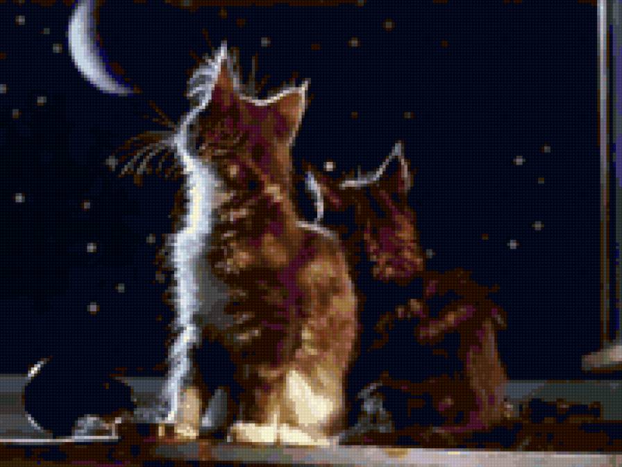 ночное рандеву - котята - предпросмотр