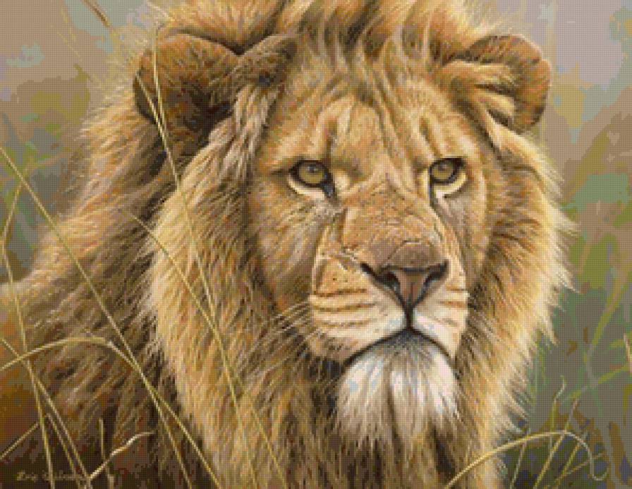 Лев - животные, кошка, хищник - предпросмотр