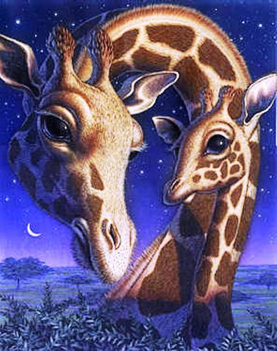 Жирафы - пейзаж, животные, жирафы, живопись - оригинал