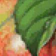 Предпросмотр схемы вышивки «Яркие красивые яблочки)» (№17201)