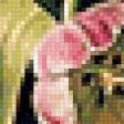 Предпросмотр схемы вышивки «Тюльпаны» (№17228)