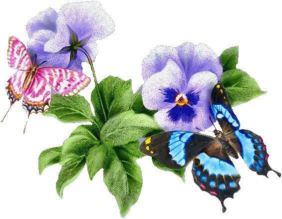 Цветы и бабочки - цветы, бабочки, фиалки - оригинал