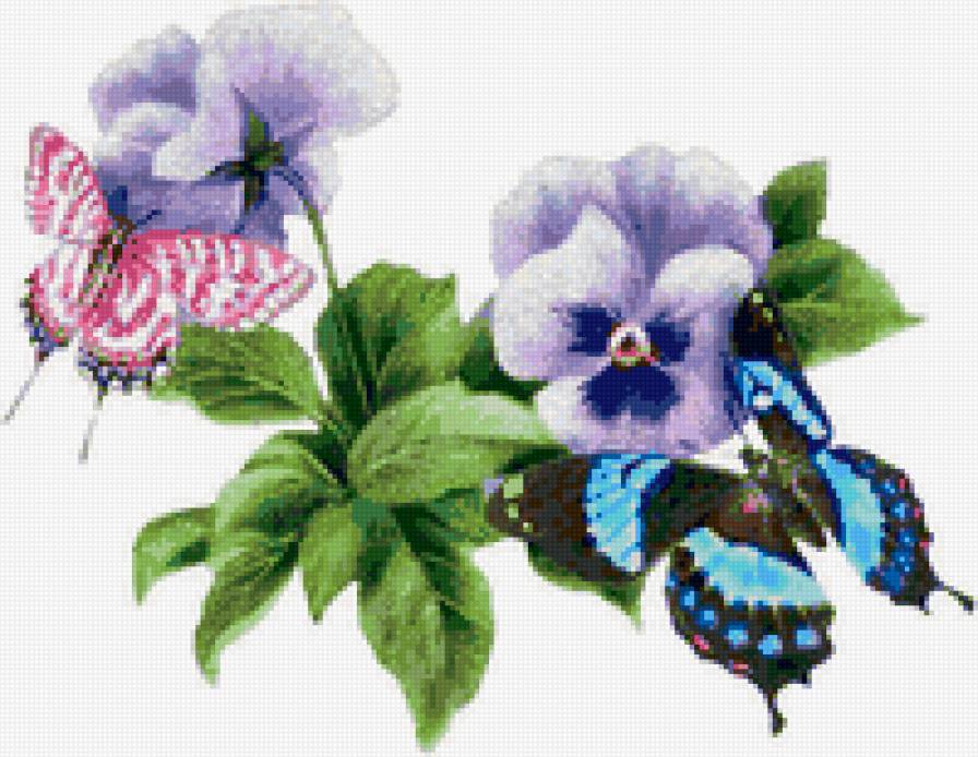 Цветы и бабочки - фиалки, бабочки, цветы - предпросмотр