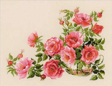 Цветы шиповника - букет, шиповник, розы - оригинал