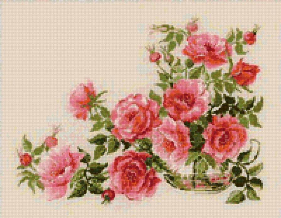Цветы шиповника - букет, шиповник, розы - предпросмотр
