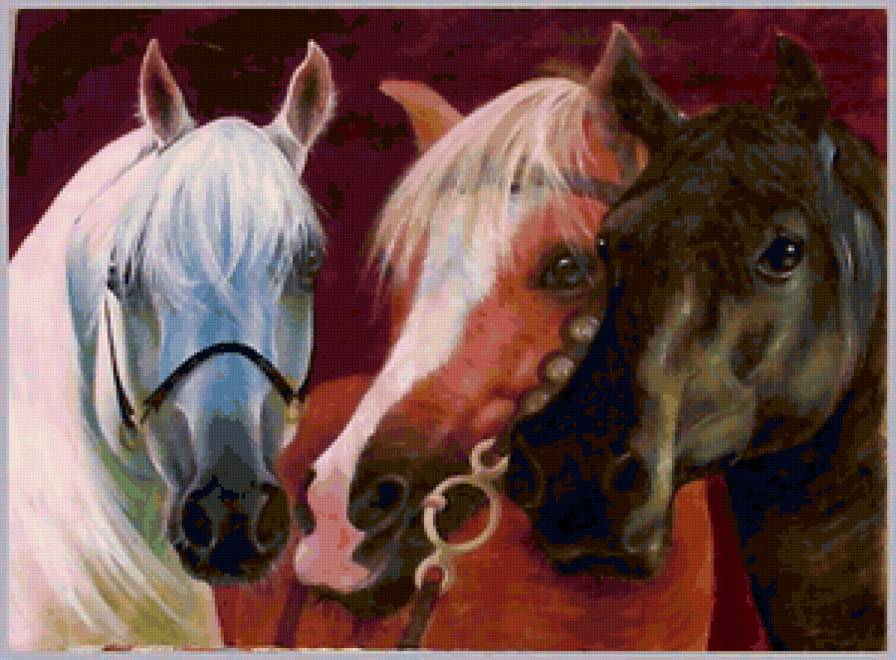 Серия "Кони" - кони, животные, лошади - предпросмотр