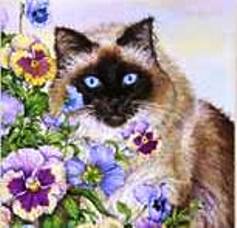 Киска с анютками - анютины глазки, природа, животные, кошки в цветах, кошка, кошки - оригинал