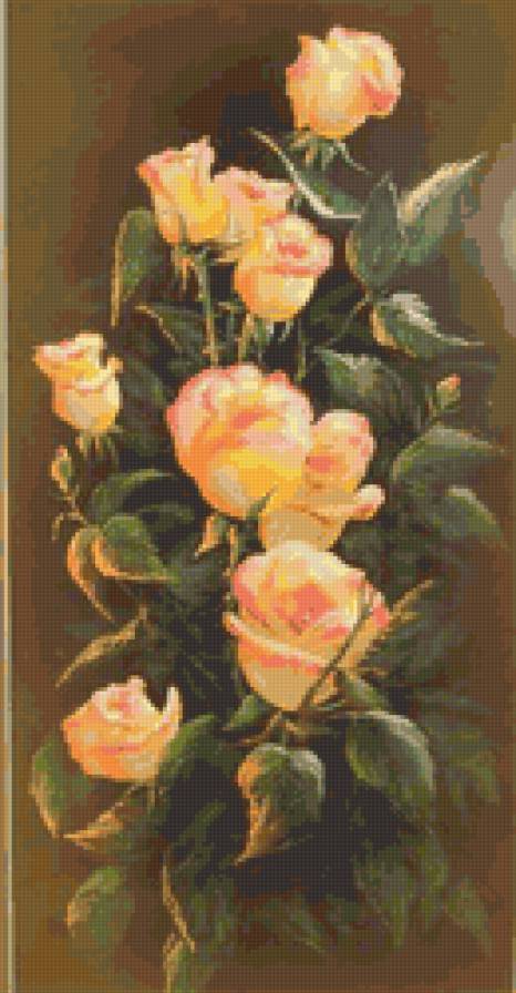 №17991 - чайная, роза, цветы - предпросмотр