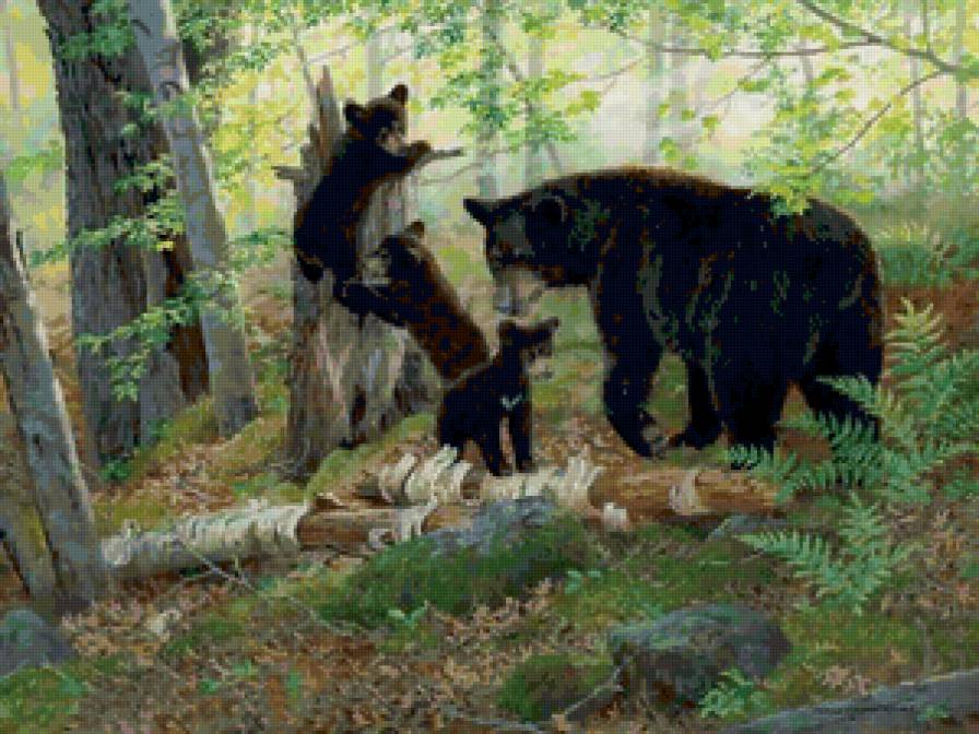 Медведи - медведи, животные, пейзаж, живопись - предпросмотр