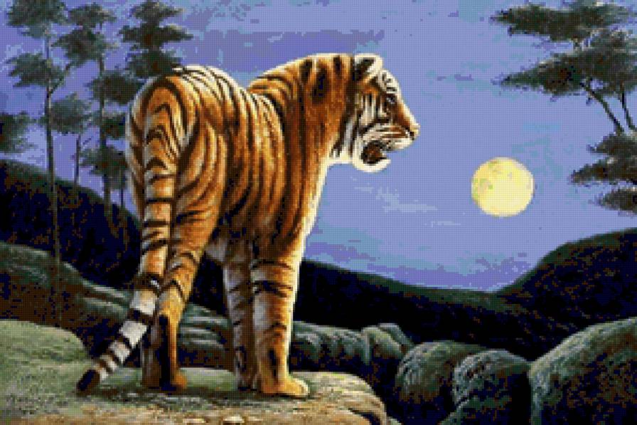 Тигр при луне)) - тигр, животные - предпросмотр