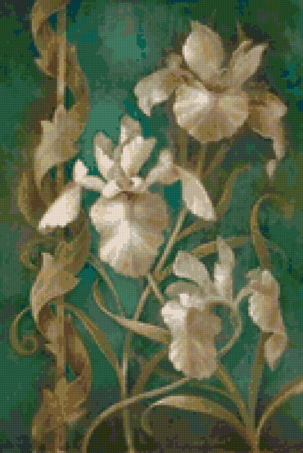 irisy - flower - предпросмотр