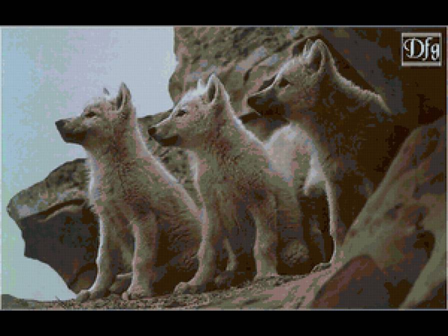 волчата - волк, животные - предпросмотр